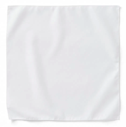 Bandana - 22"x22"